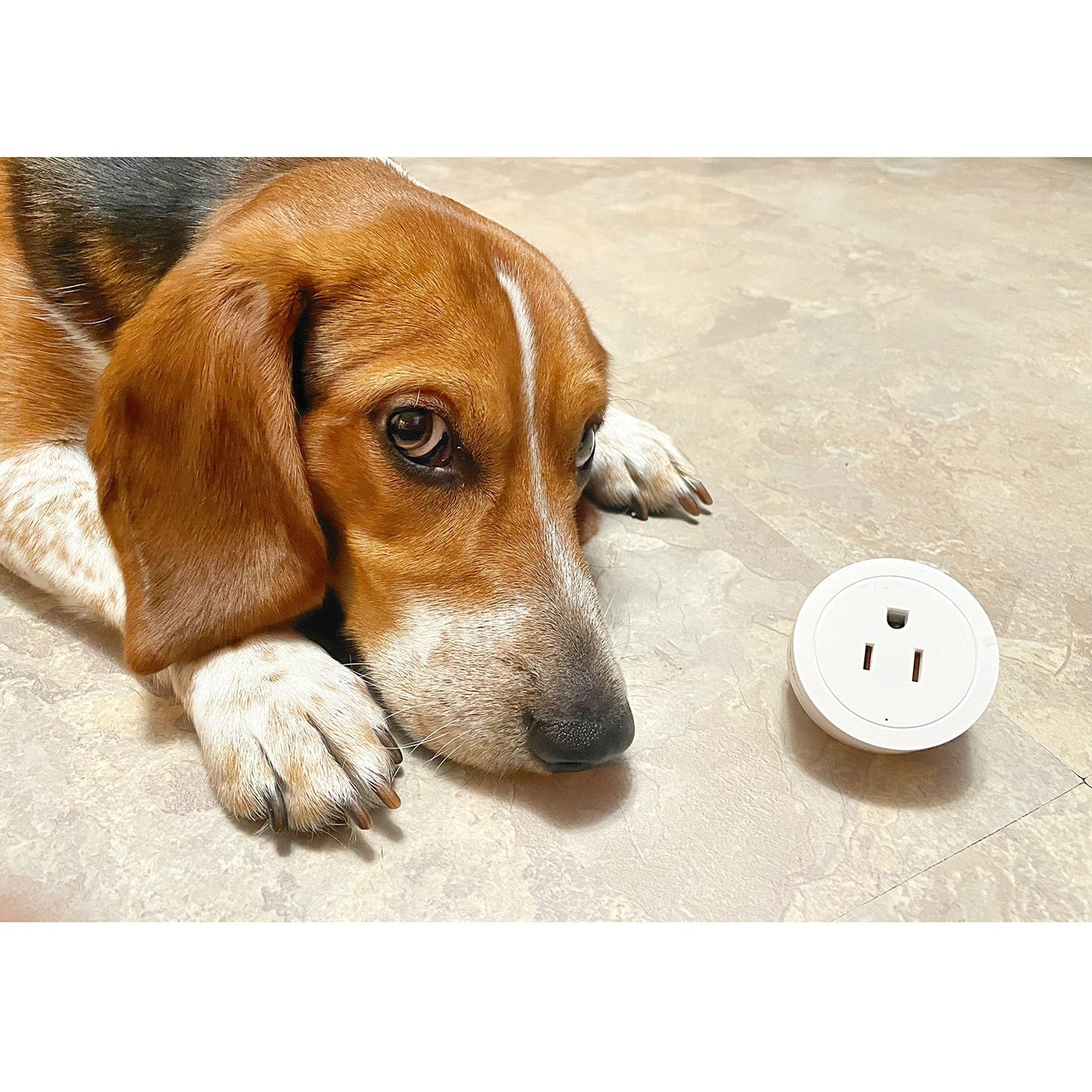 INSTACHEW PureConnect Smart Plug – WiFi App Control with USB & Voice Assistant Compatibility